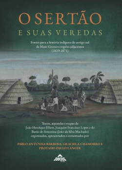 O sertão e suas veredas: Fontes para a história indígena do antigo sul de Mato Grosso e regiões adjacentes (1829-1871)